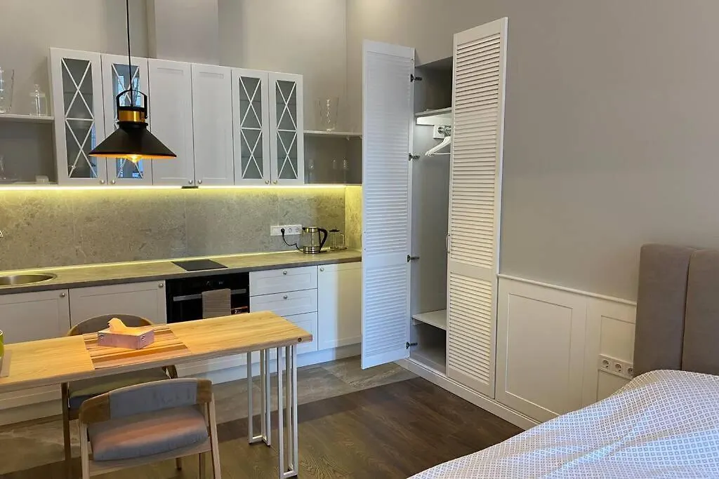 Apartament Hidden Gem With Its Own Private Entry At Lypky Kijów 0*,